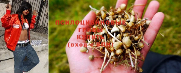 Альфа ПВП Белоозёрский