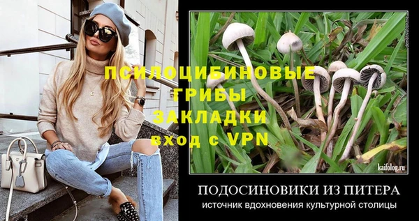 винт Заводоуковск