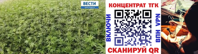 дарк нет телеграм  Сокол  Дистиллят ТГК THC oil 