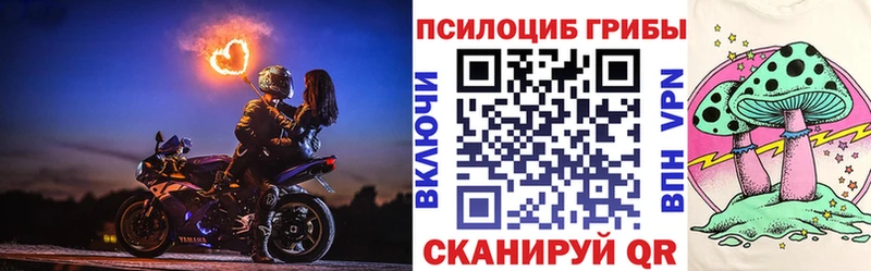 Псилоцибиновые грибы Psilocybe Сокол